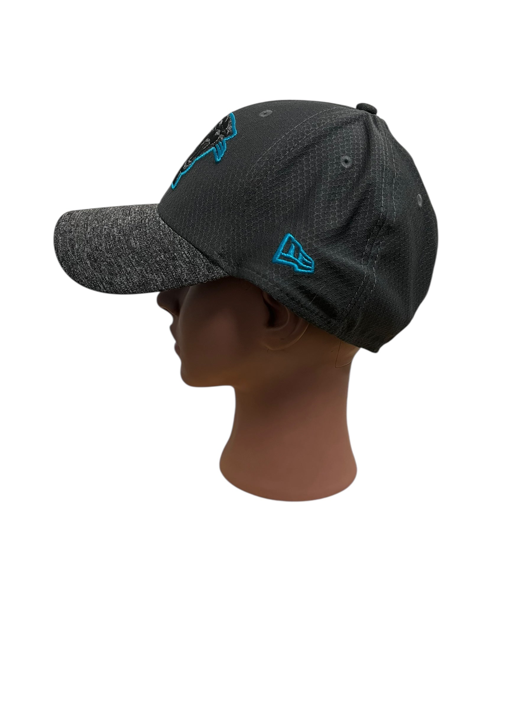 Carolina Panthers NFL ball cap (M/L)