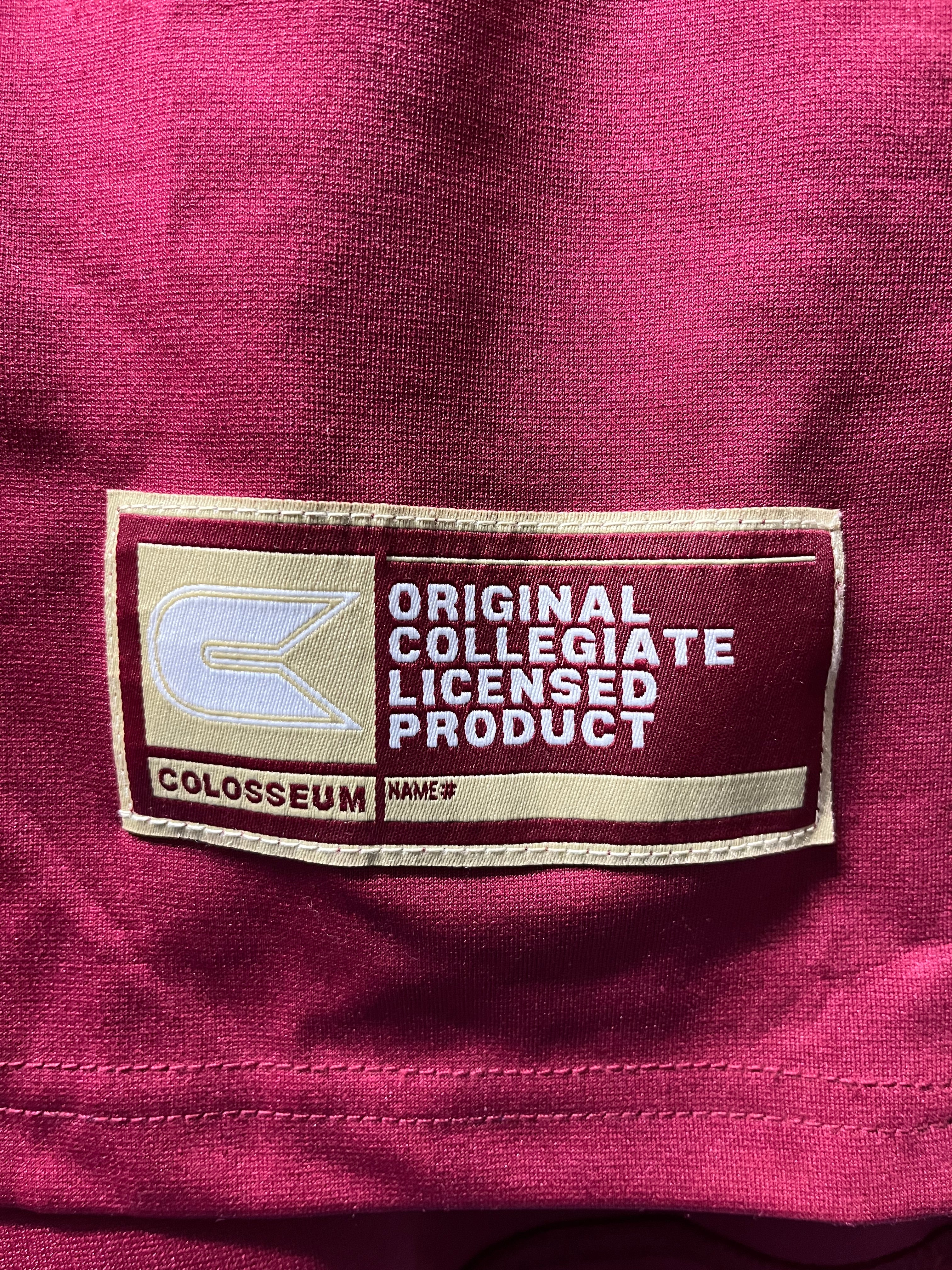 Florida State Seminoles Football Jersey (Large)