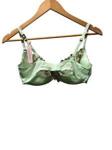 Victoria’s Secret Push Up Bra Without Padding (36D)